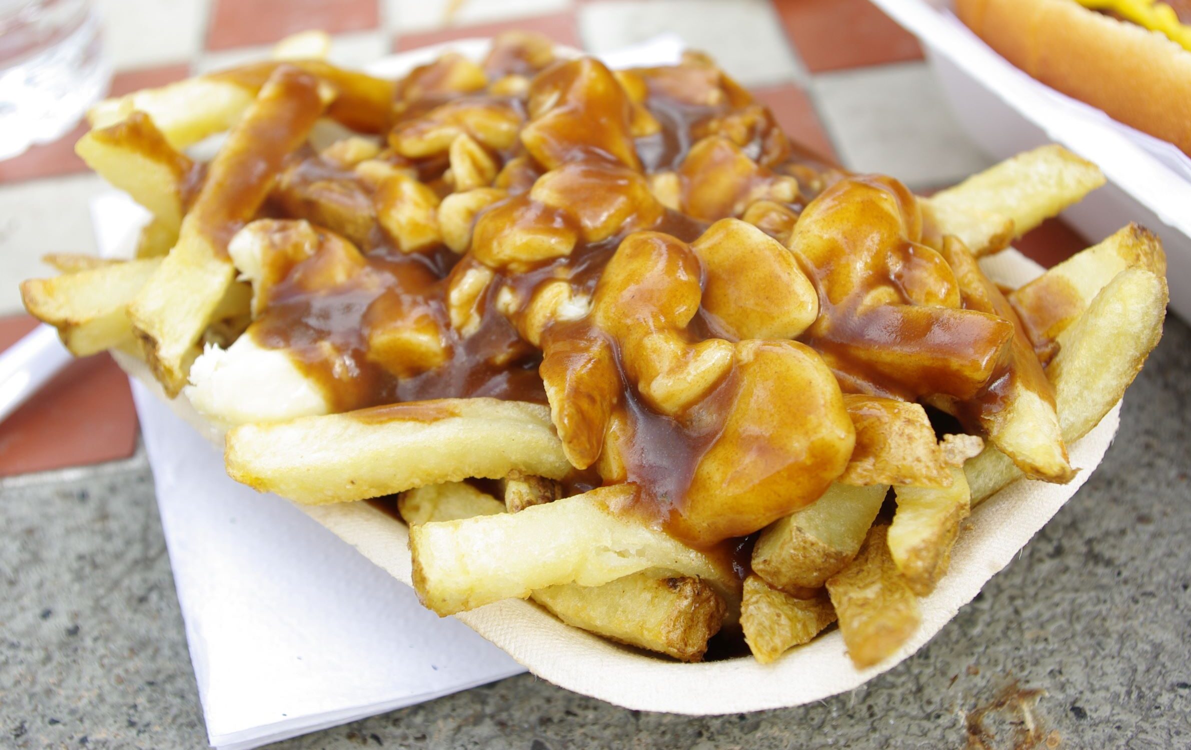 A photo of poutine.