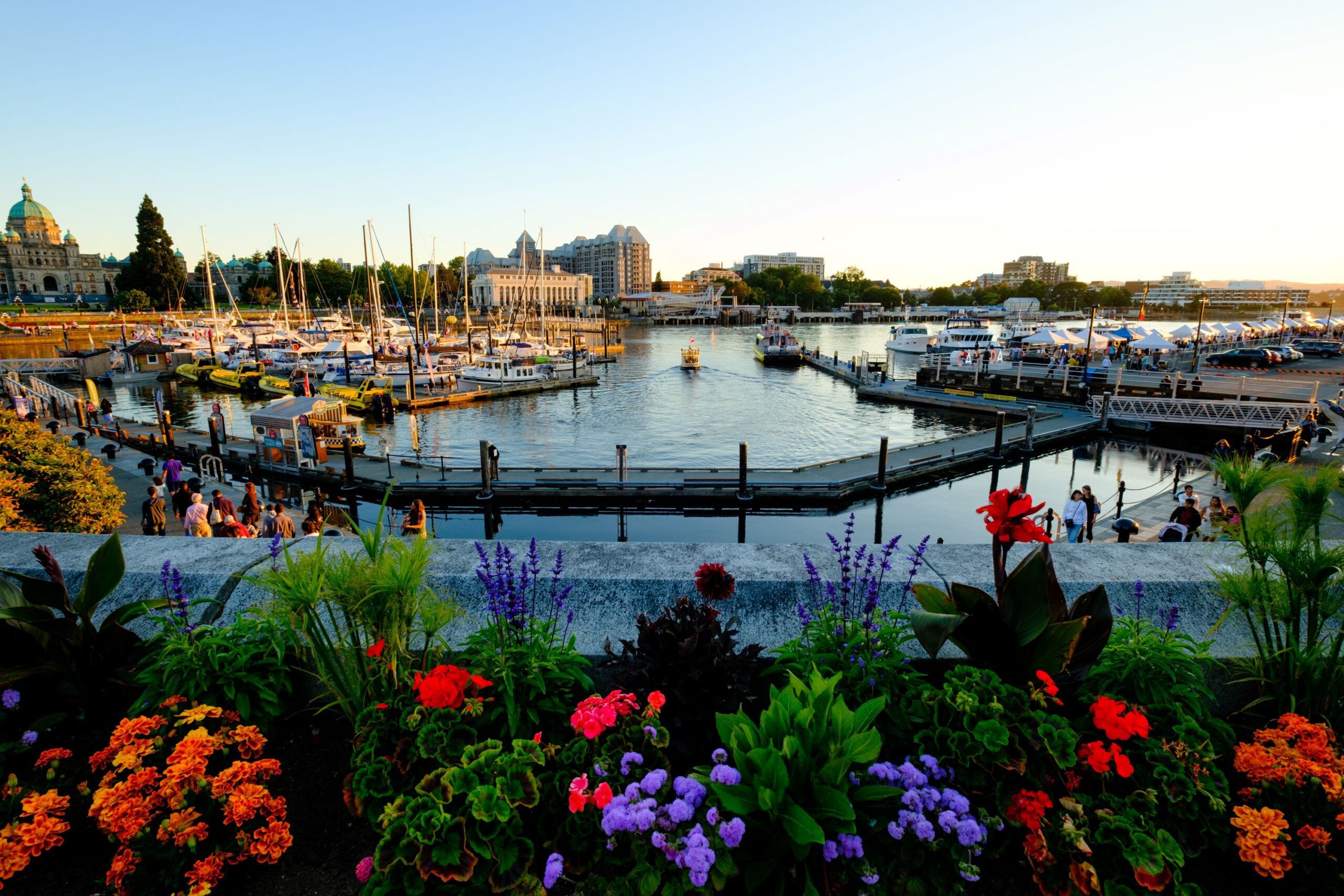Harbour in Victoria showing the skyline in the background.