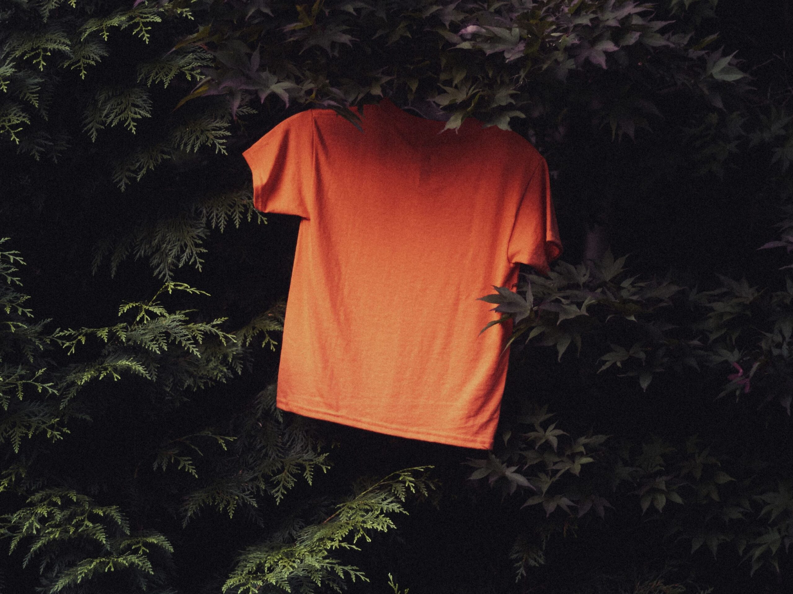 Photo of an orange shirt in front of a hedge.