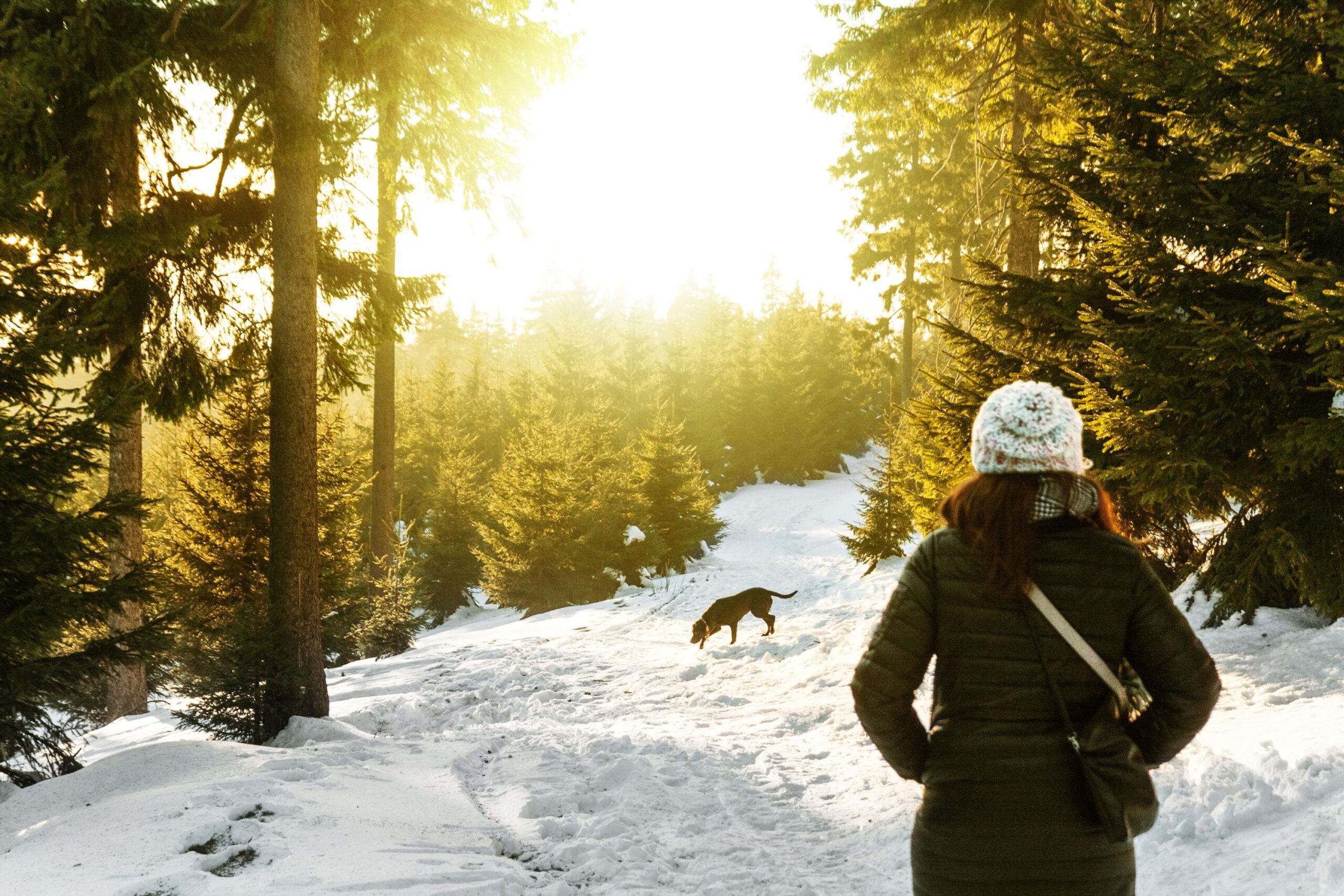 Person outside in snow covered trails in Canada with their dog.
