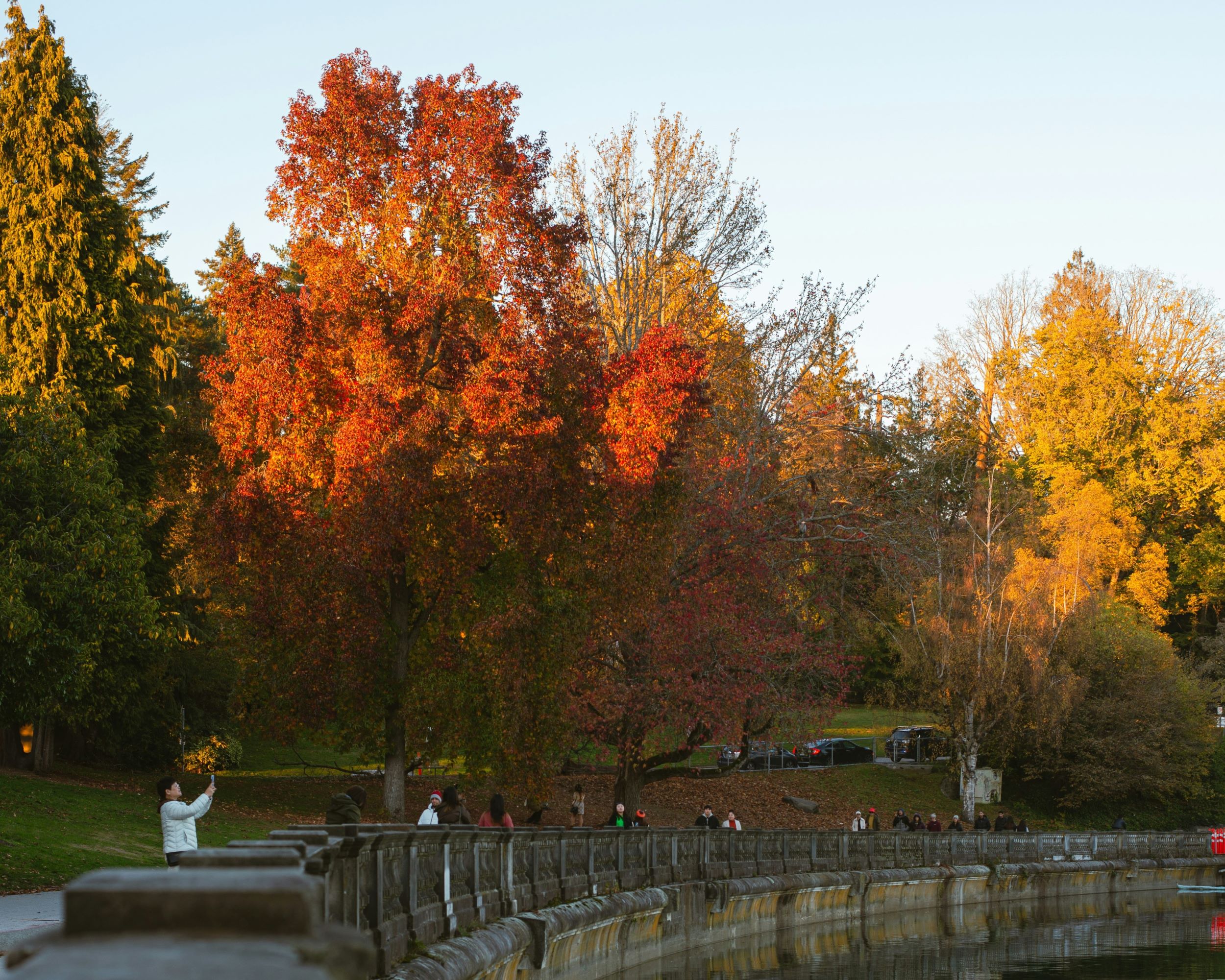 Stanley Park surrounded by trees with red leaves as a Vancouver fall hike.