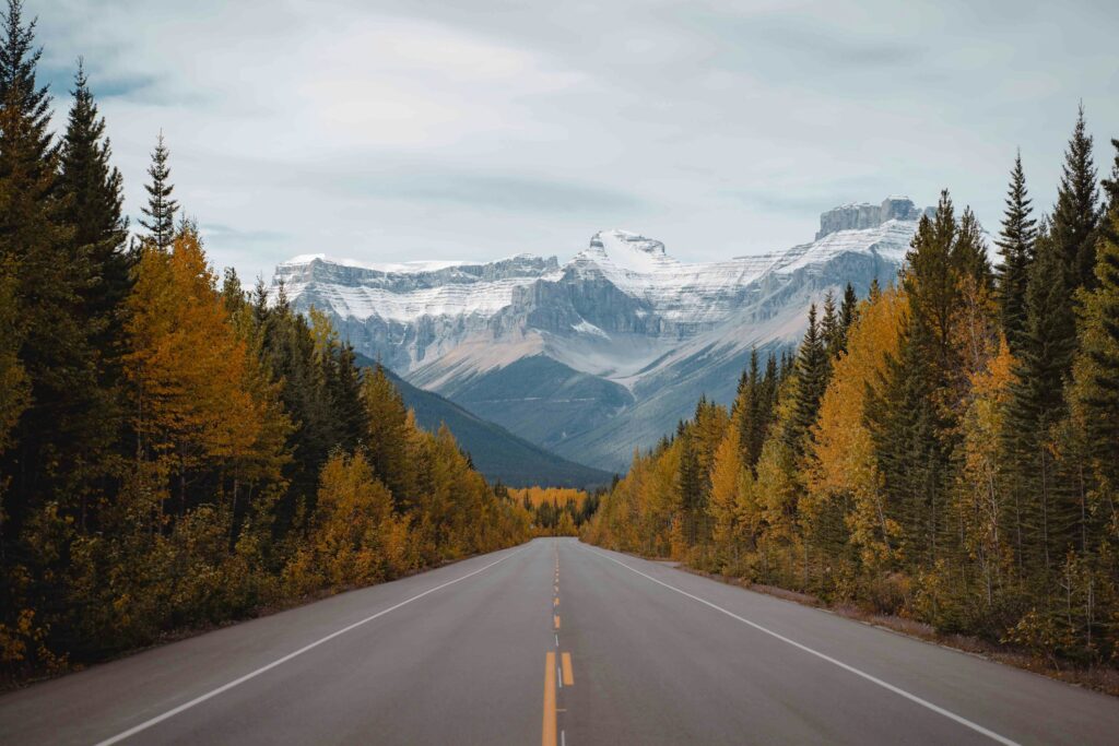 A road surrounded by trees and mountains.