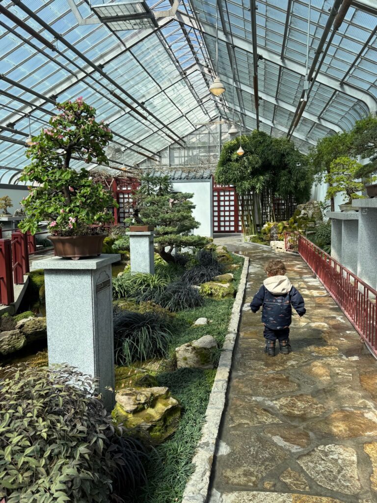 Image of child at a botanical garden inside a greenhouse.